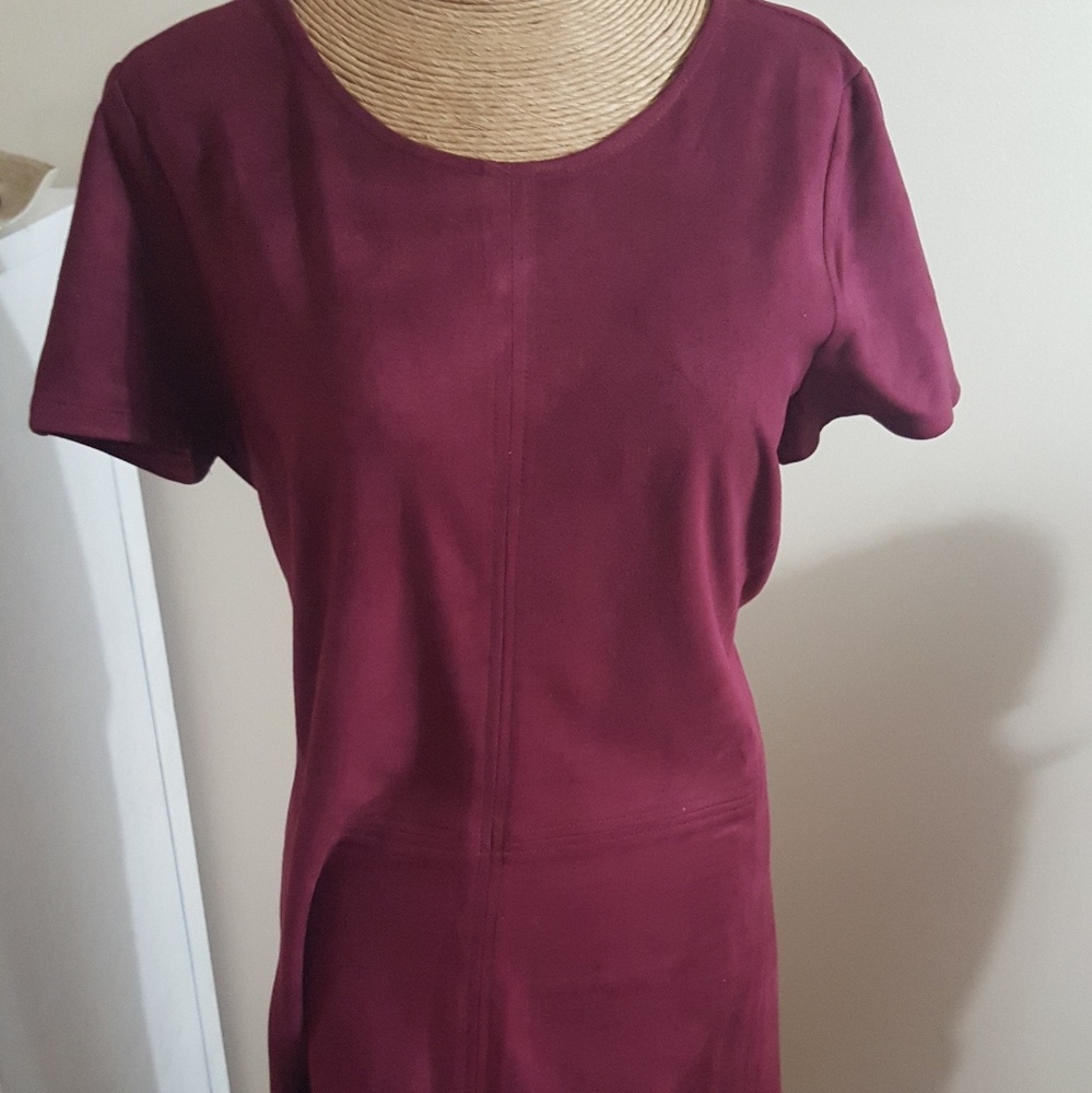 Alice and Blue suede dress